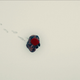 Image for article titled The Real Story Behind Kumiko: The Treasure Hunter
